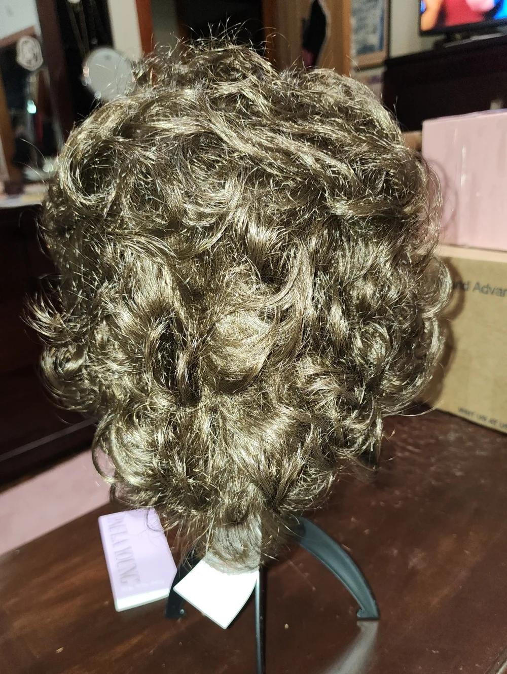 Paula Young Trisha Wig in Medium Brown